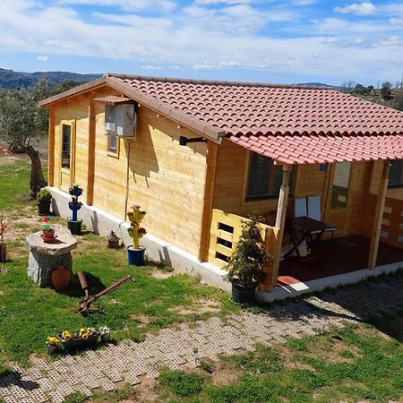 El Refugio De Las Arribes Villarino de los Aires Экстерьер фото